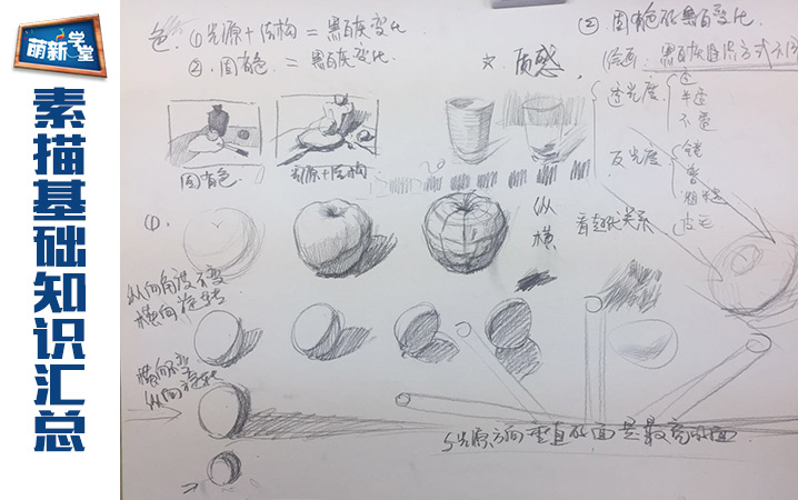 素描静物基础 — 知识汇总